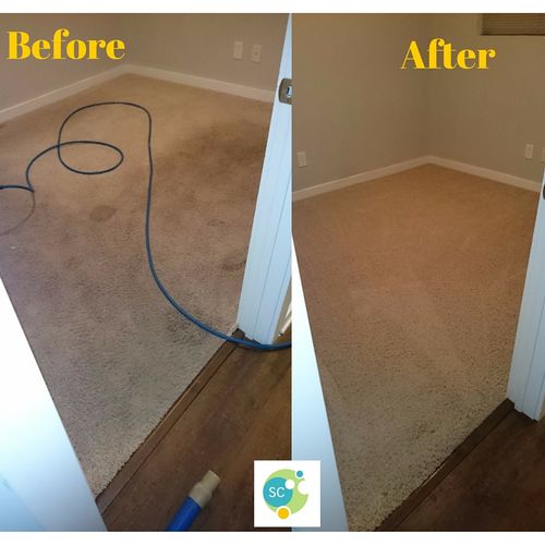 Carpet deep cleaning service.