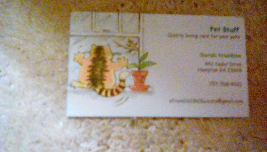 my business card