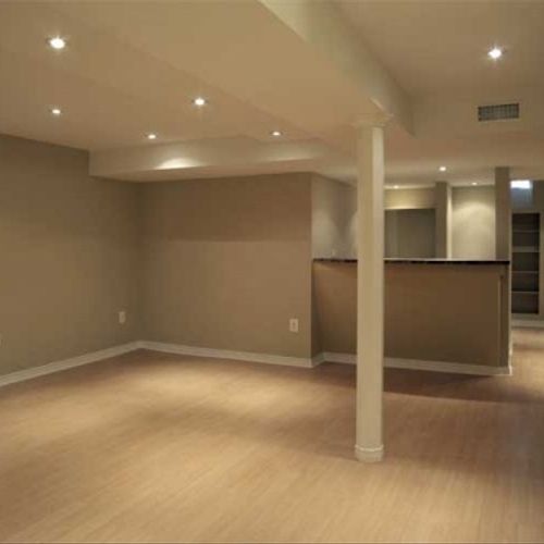 Transform your basement.  Efficient lighting and p
