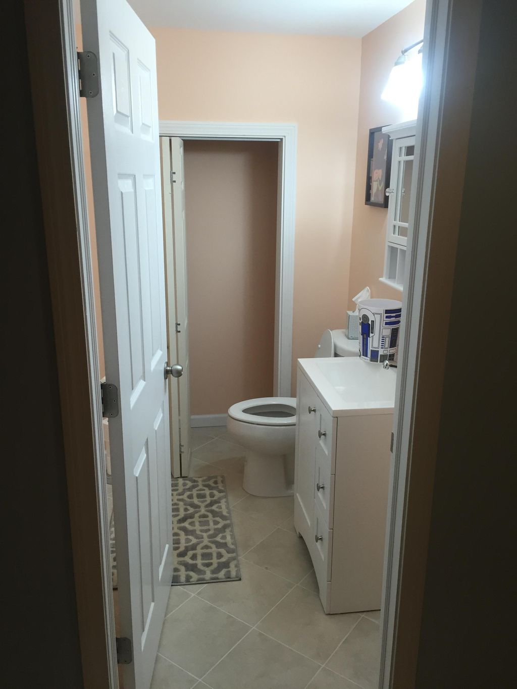 Basement remodel & bathroom install