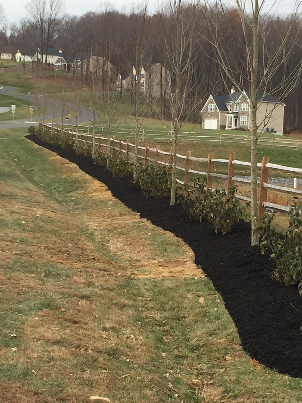 Finsihed commercial tree planting job