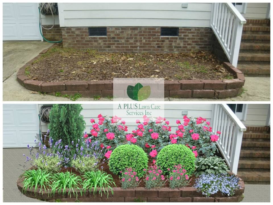 Landscape Design