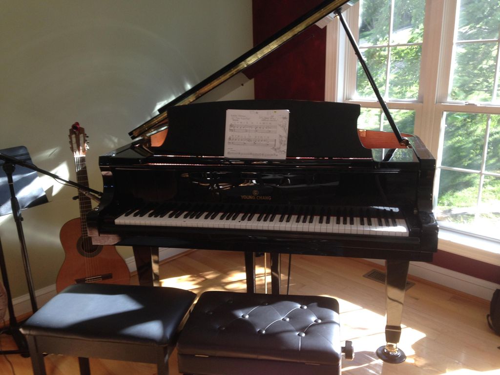 Piano recital venue 2016. Thanks Novaks!!