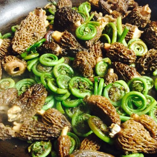 Fiddleheads and morels