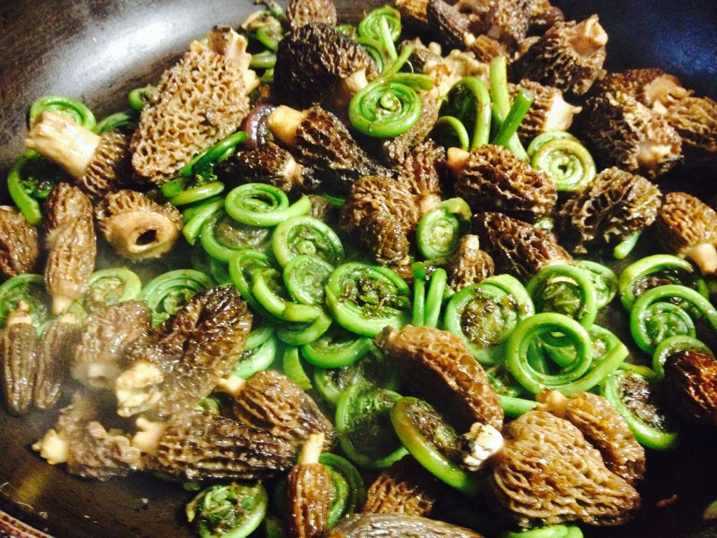 Fiddleheads and morels