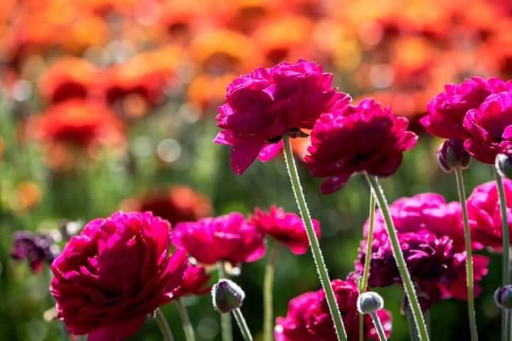 Tired of being tired day after day because you don