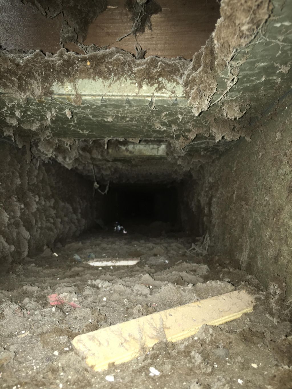 Have your air ducts looked at recently?  This one 