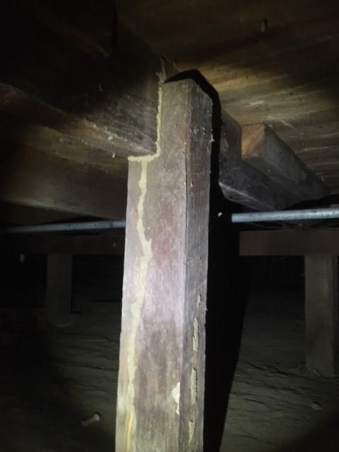 Subterranean Termite mud tube in the crawl space.