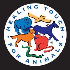 Katie is a Healing Touch for Animals® practitioner
