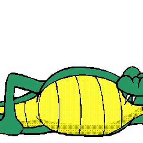The Lazy Gator of GatorMultimedia