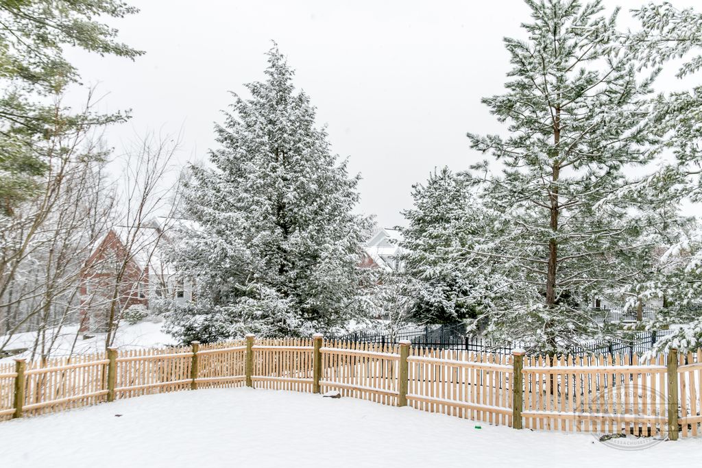 Cedar Spaced Picket