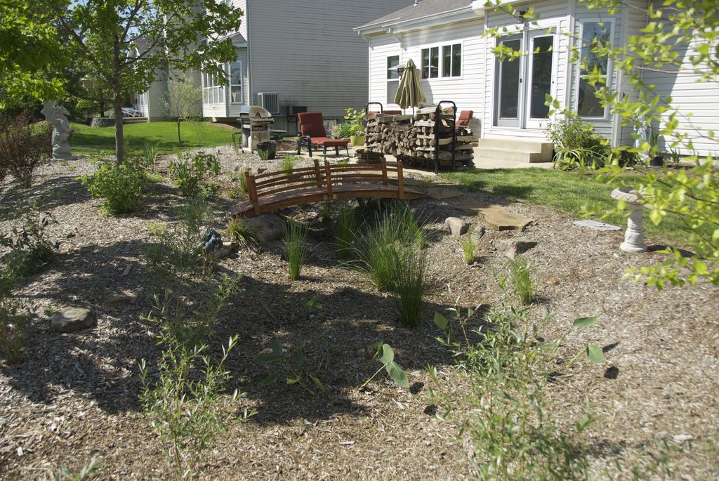 Backyard native rain garden installation -  pic 2