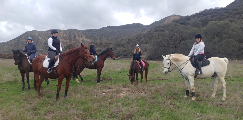 group cross country lessons