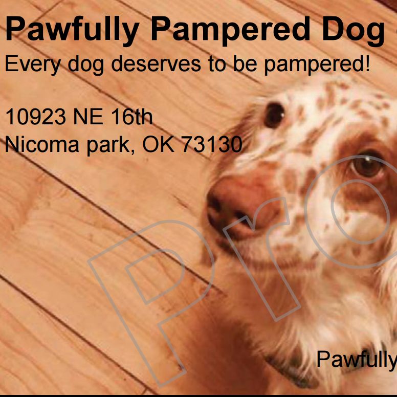 Pawfully pampered Dog grooming