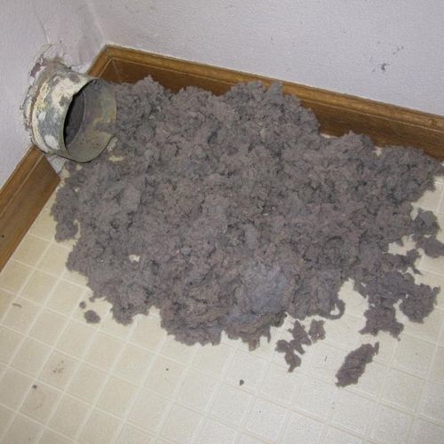 LINT FROM DRYER VENT