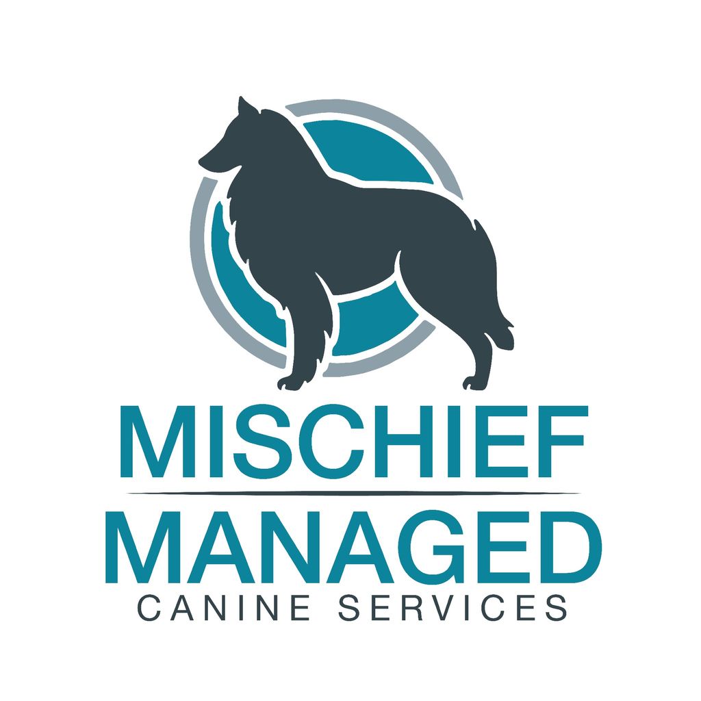 Mischief Managed Canine Services