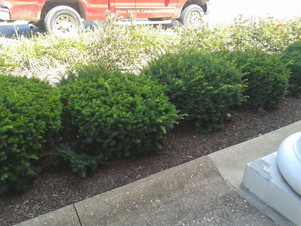 Before. Miracle Mile