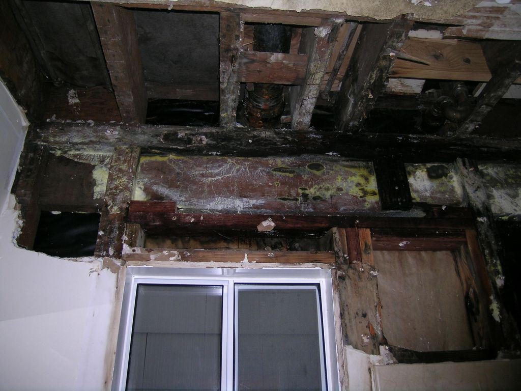Residential Bath Room Before Remediation