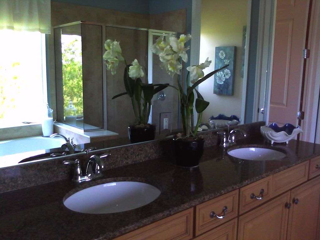 Disinfect and shine your bathrooms.