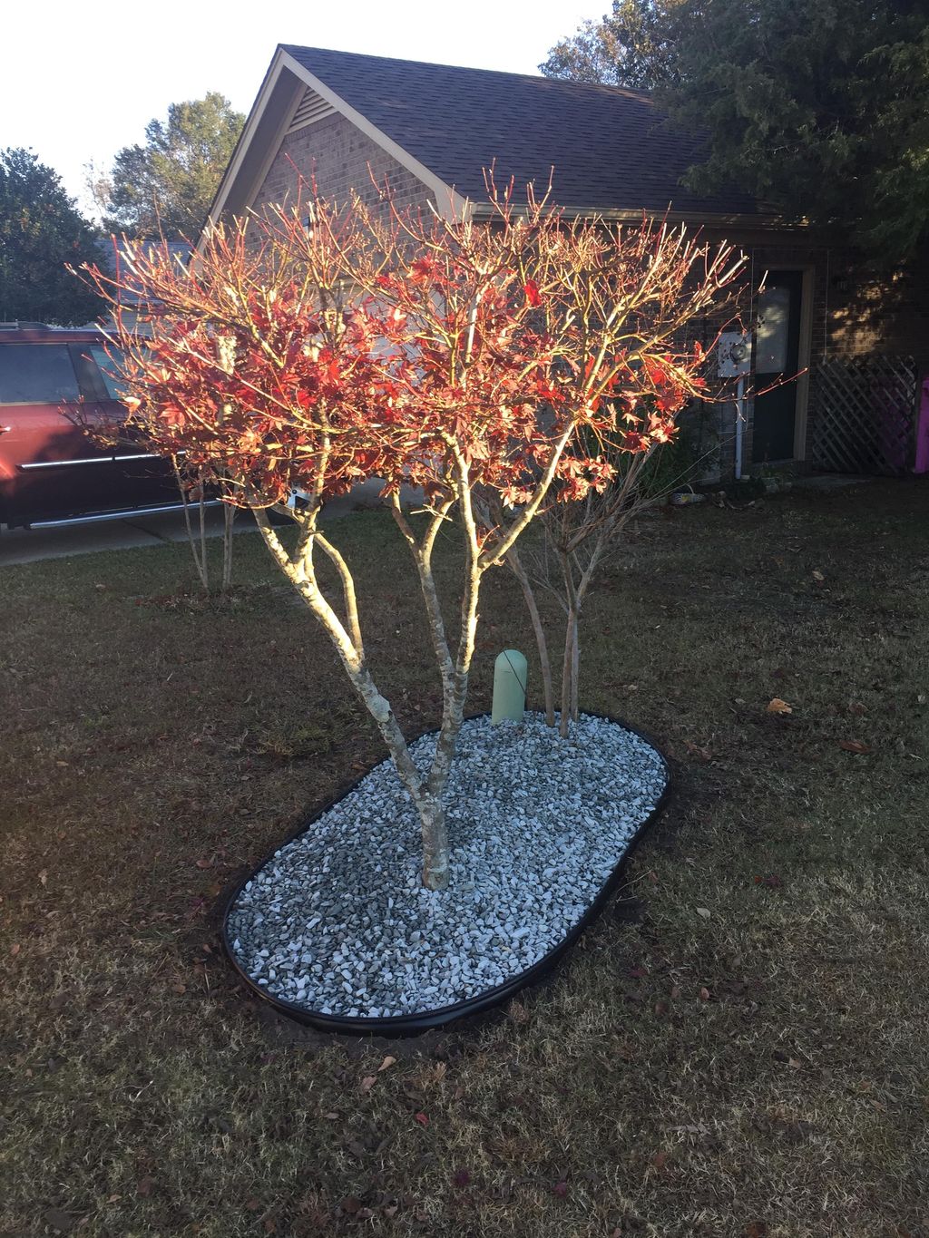 Another quick project; adding a border and some st