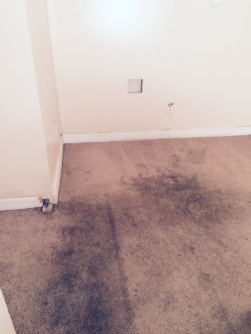 BEFORE STEAM CLEANING.