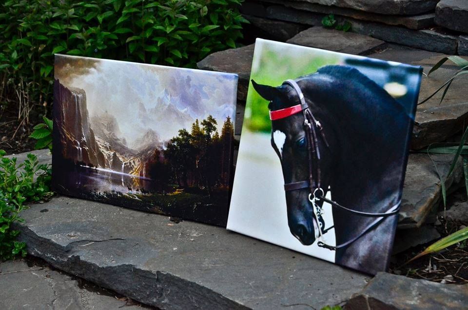 Stretched canvases