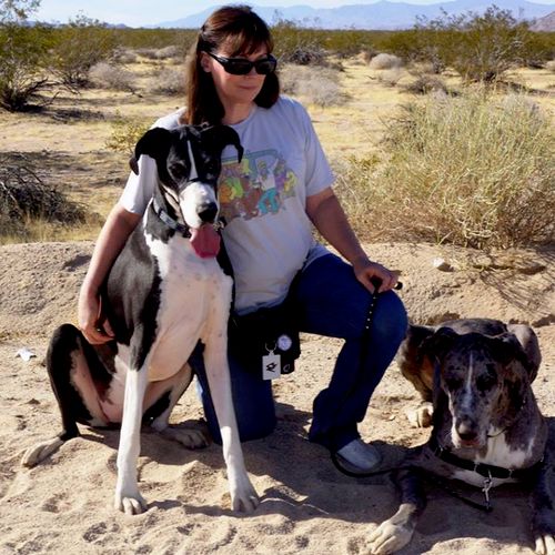 Me with 2 of my 4 Great Danes