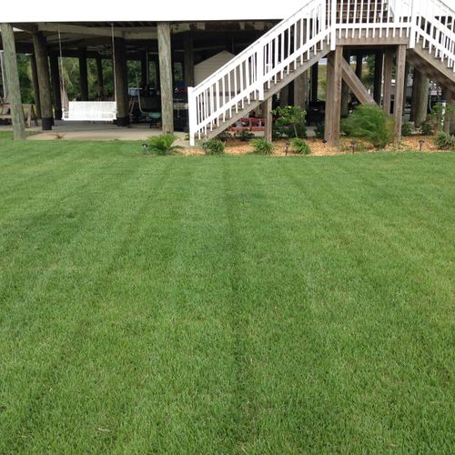 100% Pesticide & Chemical Free Lawn.