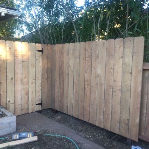 Recently completed fence with gate.  11-22-12