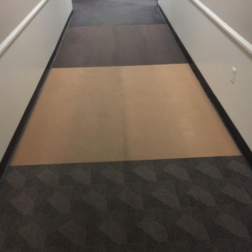 Commercial - Carpet