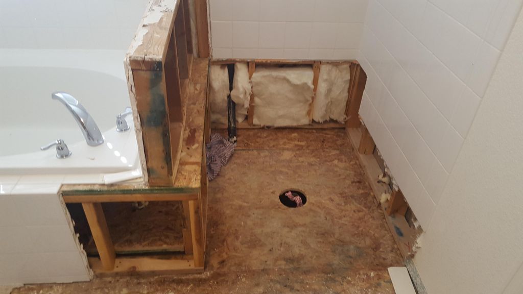 Bathroom Mold Mitigation 