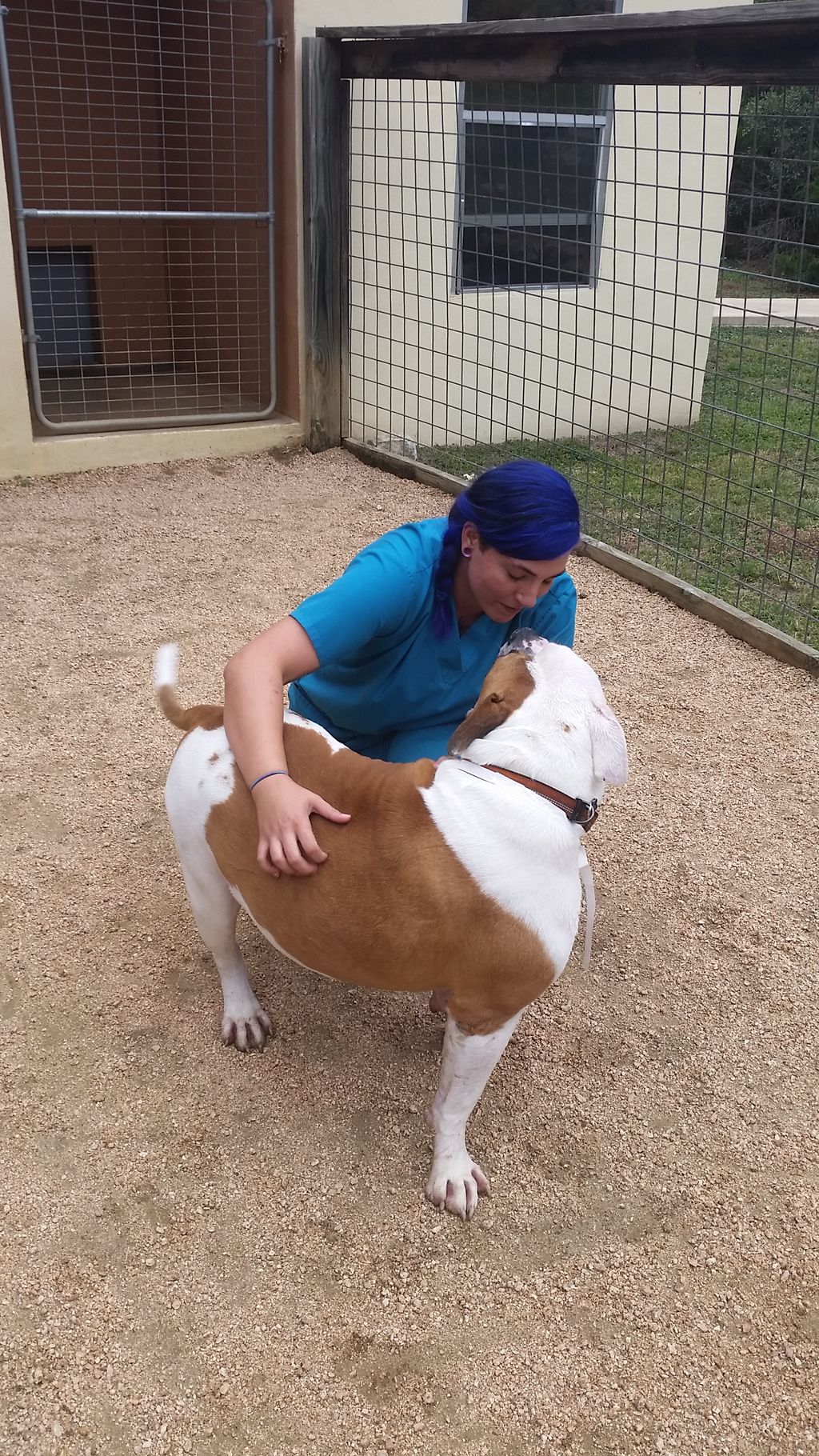 Giving Spud some rubs.