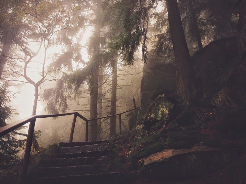 Discover your path through the mist of challenges.