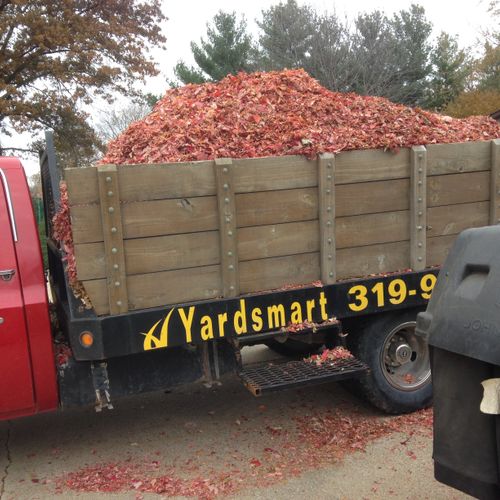 We are pretty serious about leaf removal!