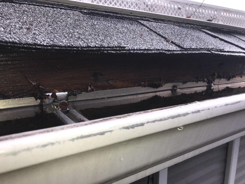 The wrong way to hang a gutter without drip edge..