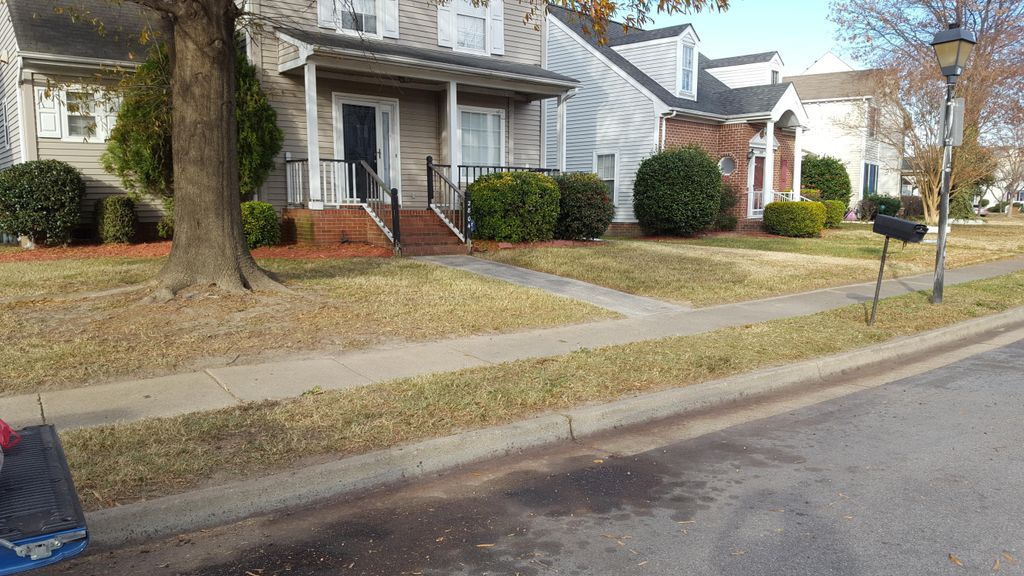 Leaf Removal  AFTER zoom out for total view