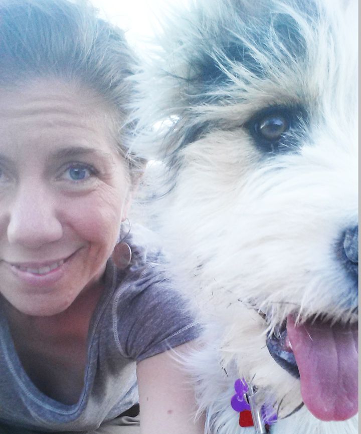 mixed-breed rescue, Puppy Development and Adult Ob