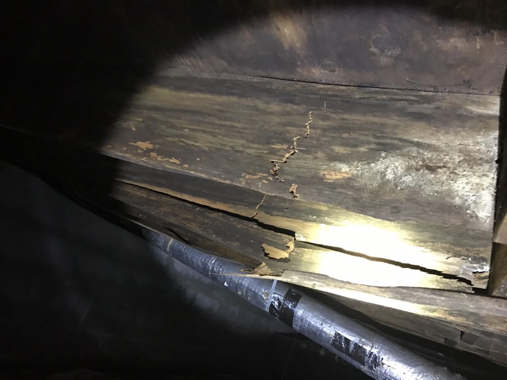 WOOD ROT AND CRACKED JOISTS 