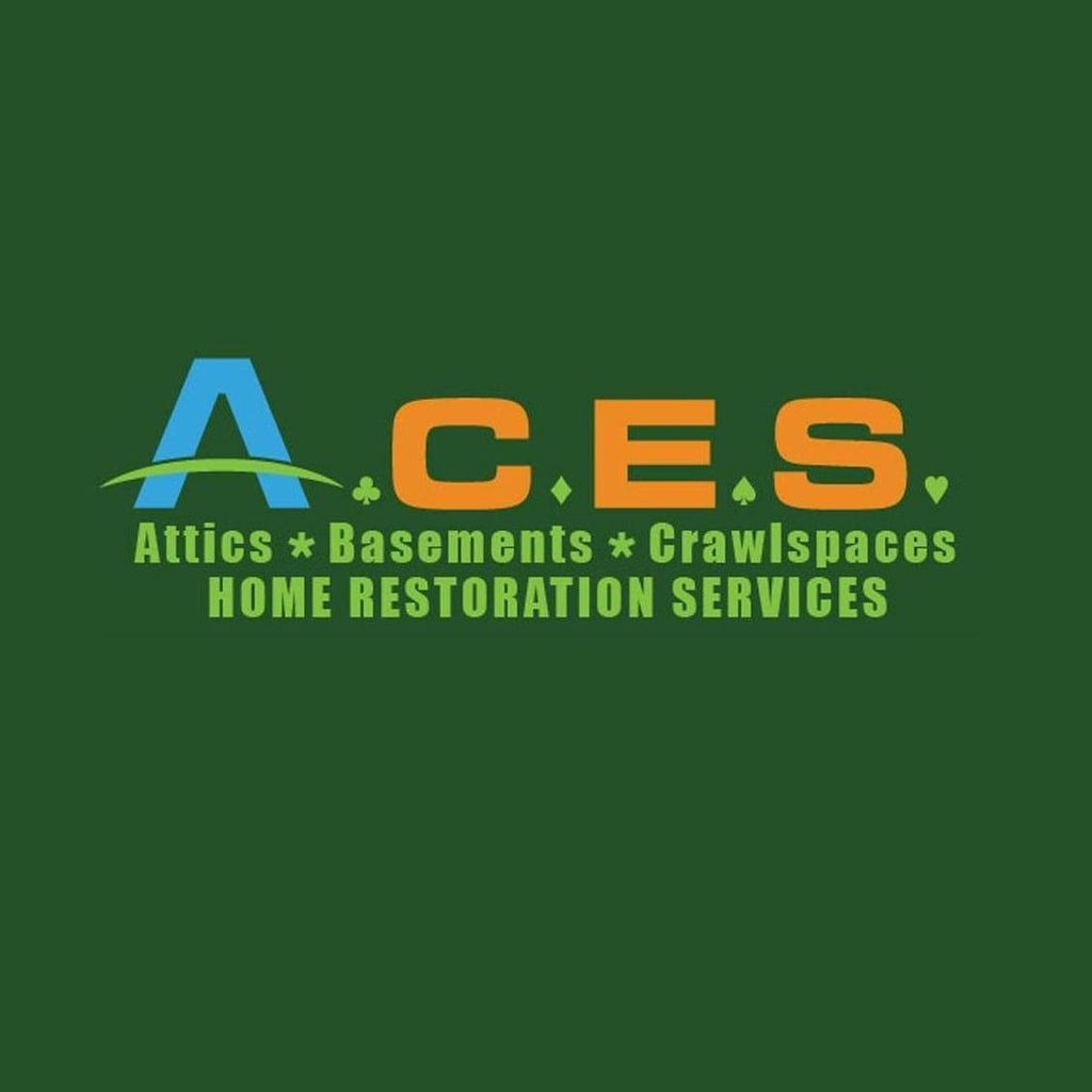 A.C.E.S.