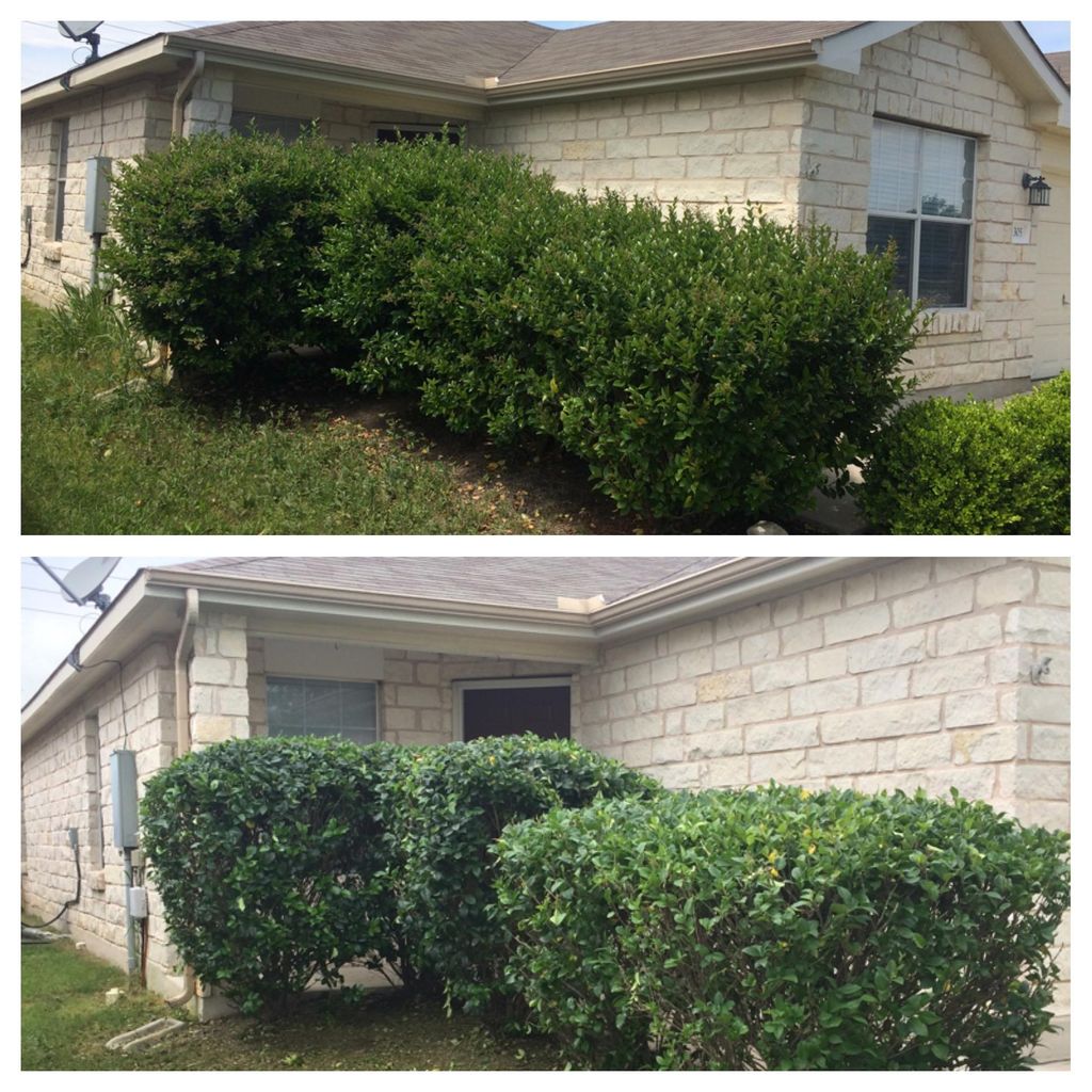 Give your house some curb appeal!!