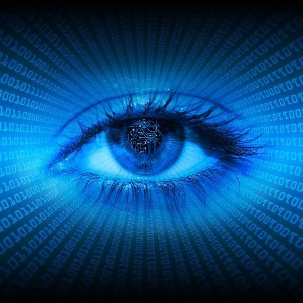 Kimmons Investigations And Consulting Services LLC