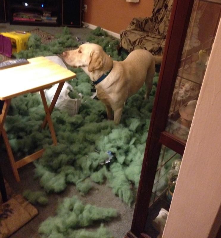 Travis Thought This was fun