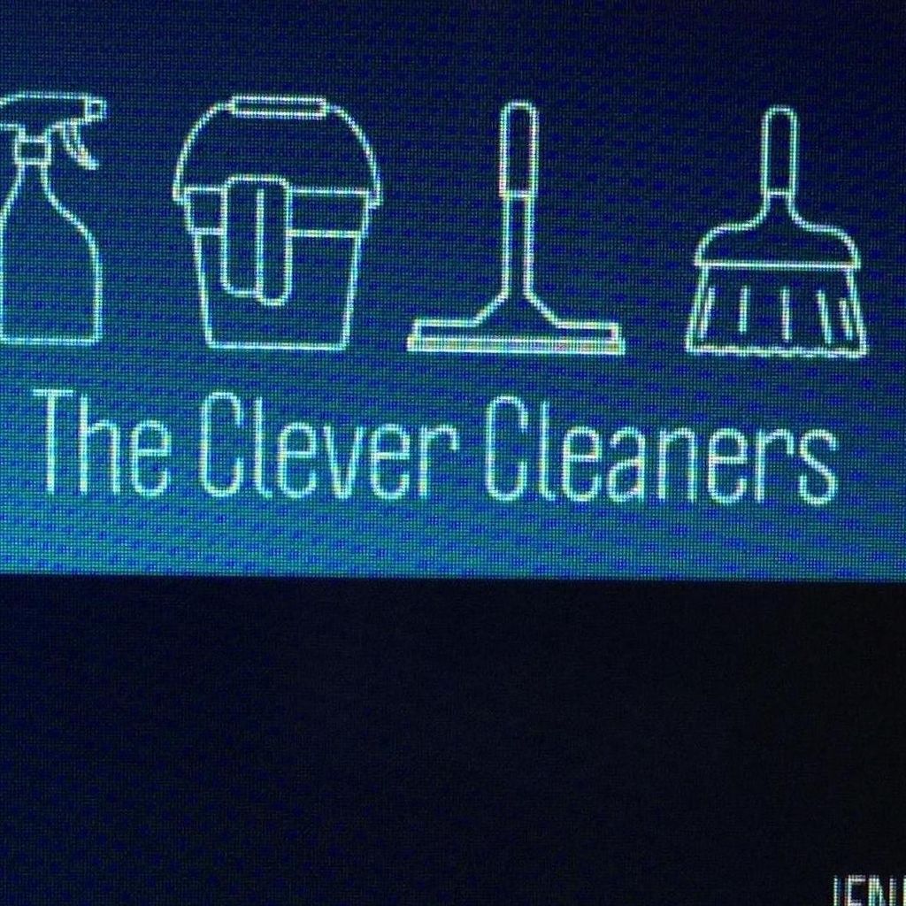 The Clever Cleaners