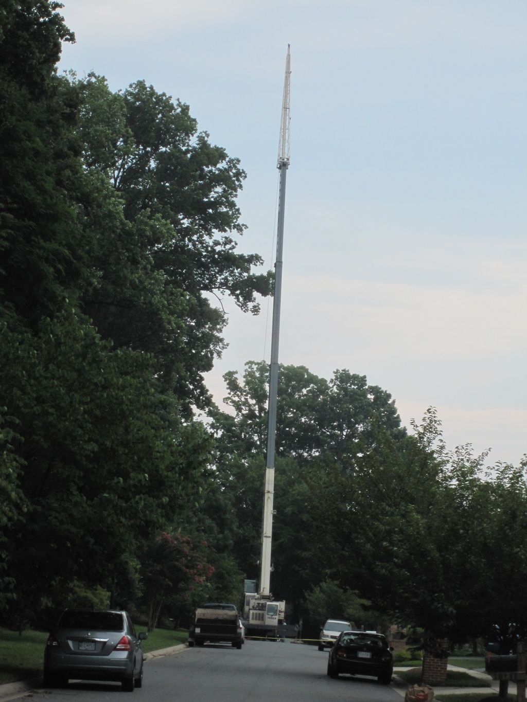Bethesda split Oak removal