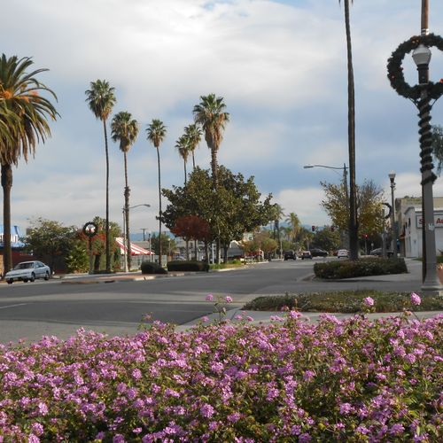Streetscape in The City of Riverside