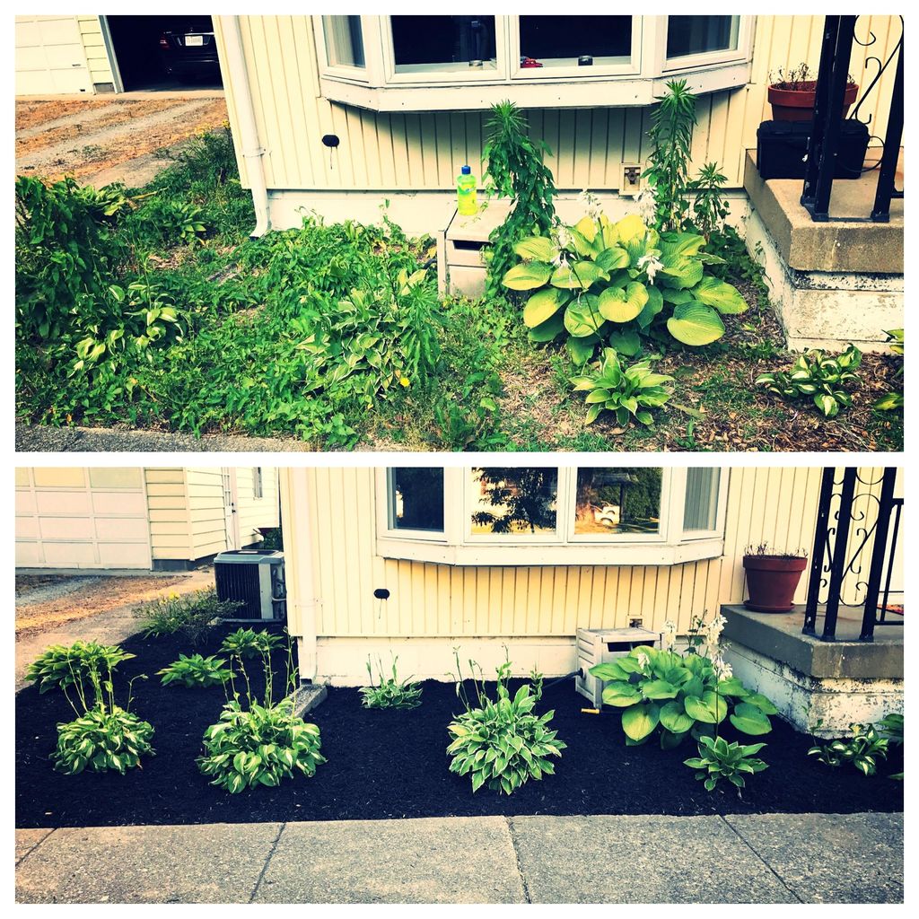 CLEAN UP & MULCHING JOB