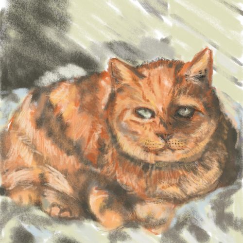 Digital drawing of Max cat