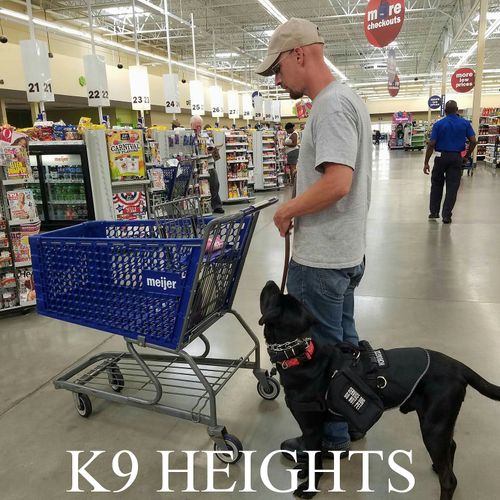 Service dog training at the grocery store