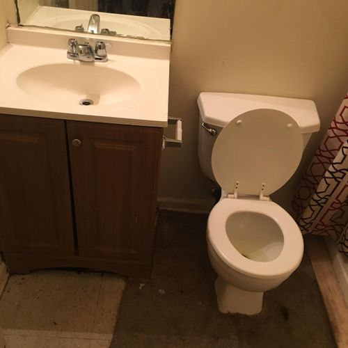 Cleaning Toilet and sink 