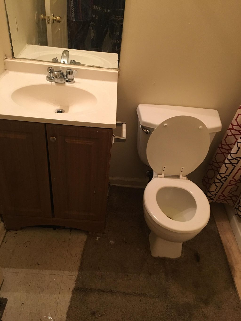 Cleaning Toilet and sink 